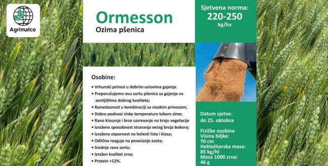 ORMESSON wheat