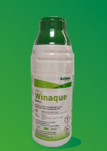 WINAQUE