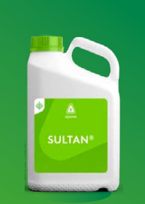 SULTAN