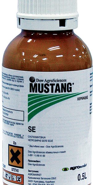 Mustang
