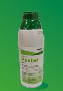 MOXBET