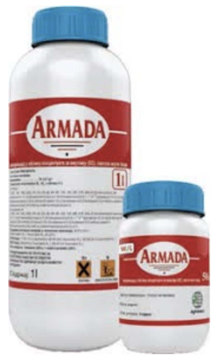 Armada