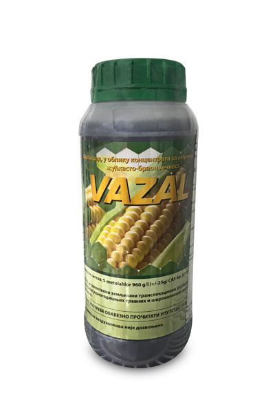Vazal
