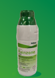 Rainzone