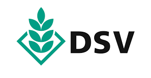 DSV