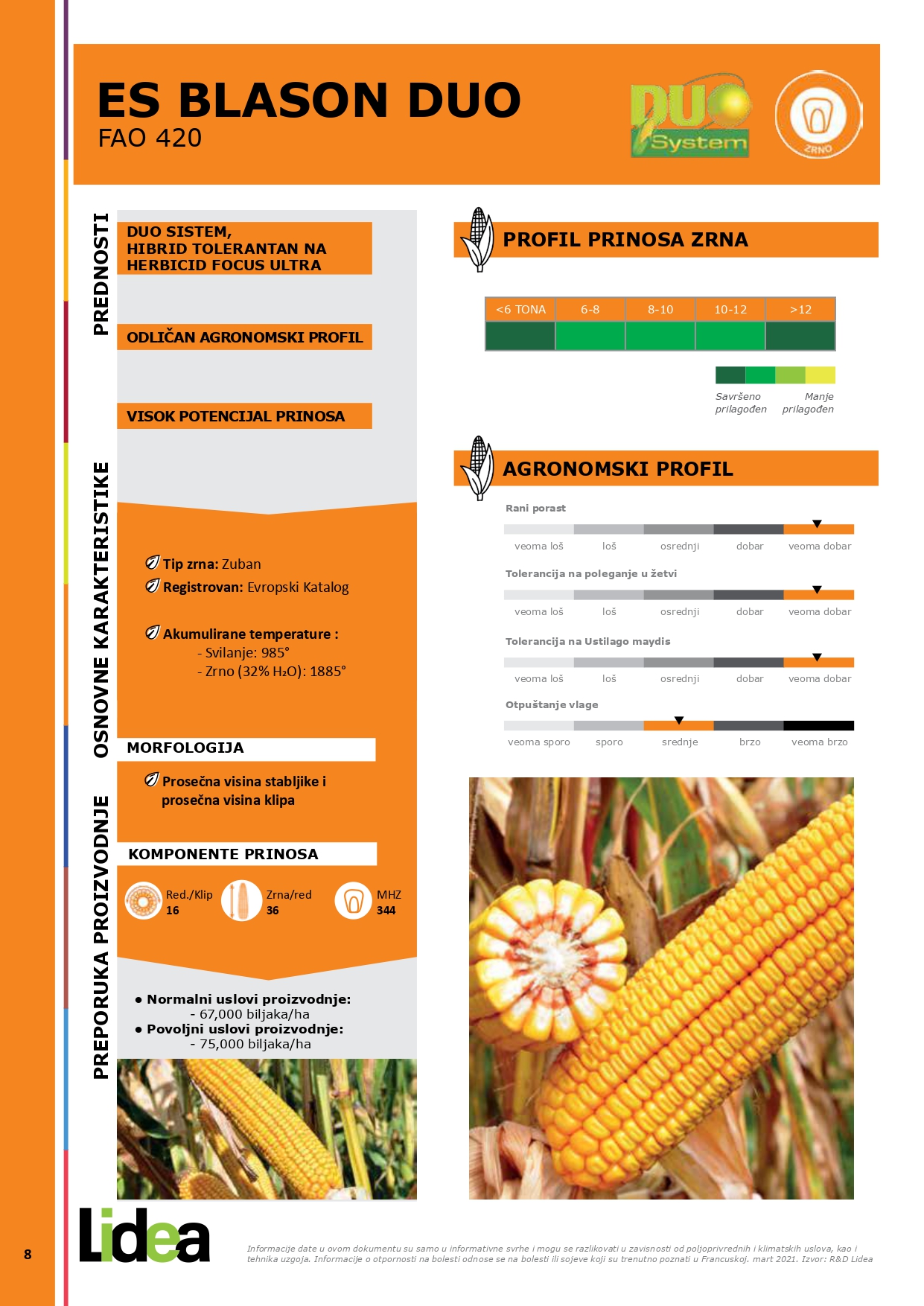 ES BLASON DUO-maize hybrid 