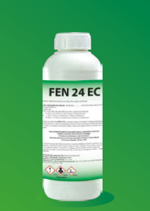 Fen 24 EC