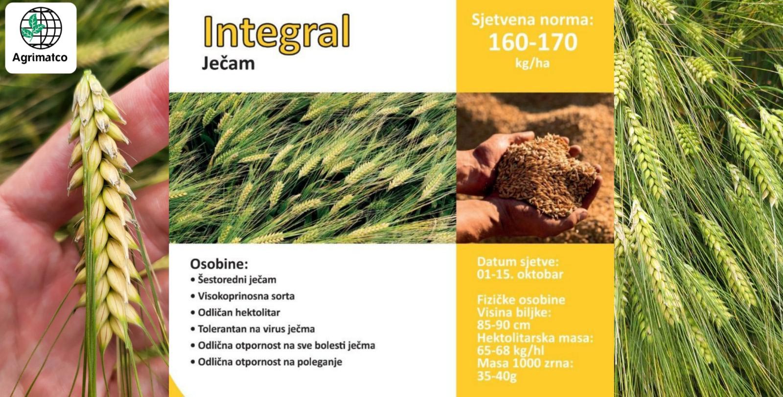 integral-katalog