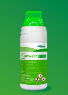 SUNWARD PLUS