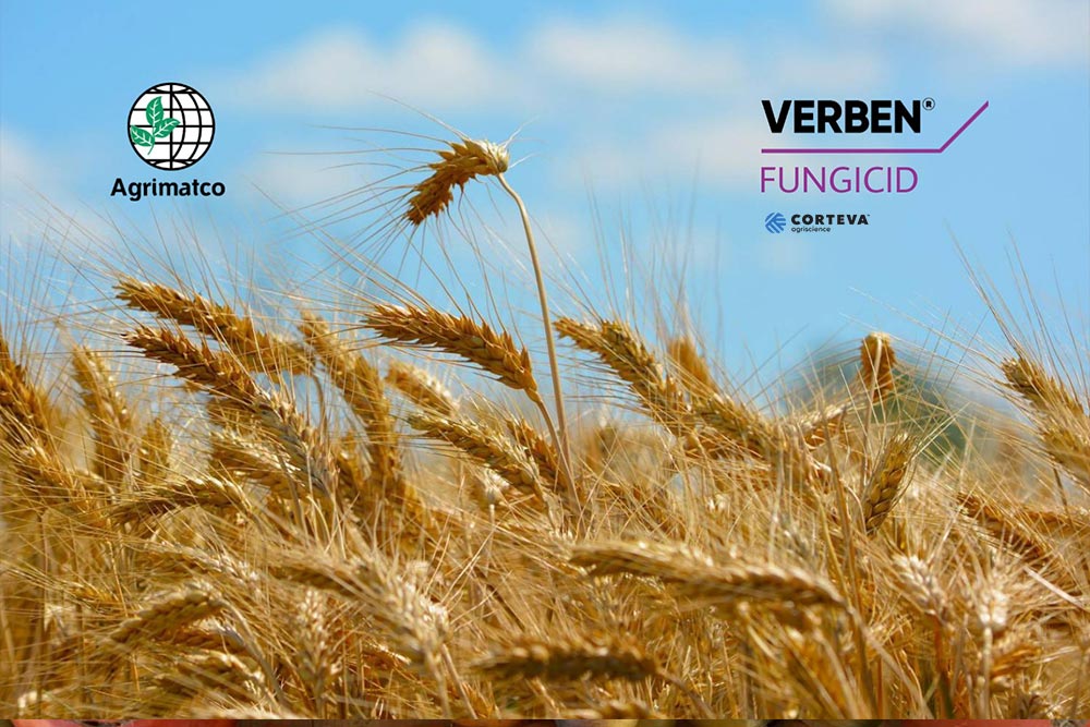VERBEN-FUNGICID VERBEN-FUNGICID
